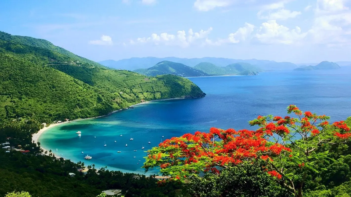 节能无人化全自动